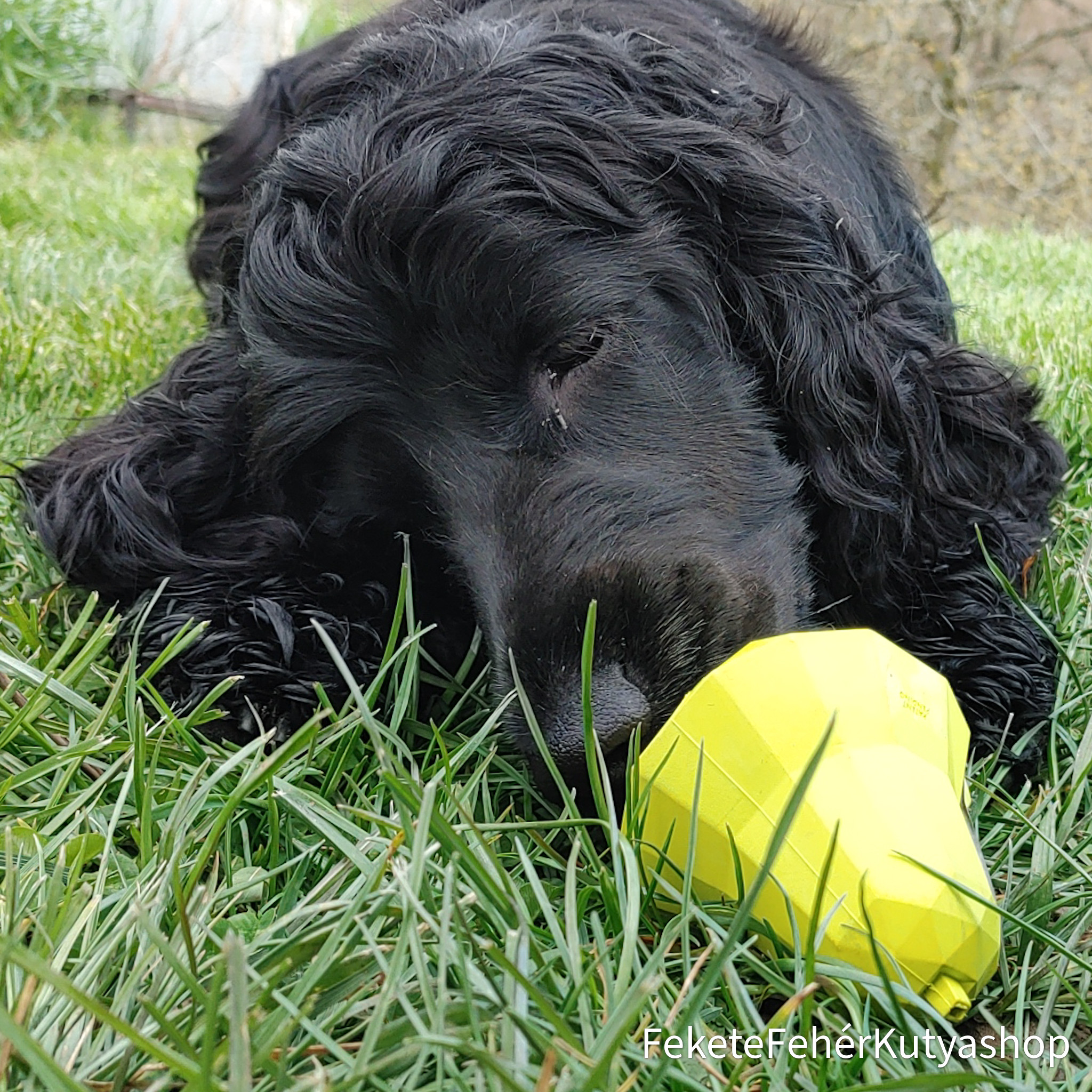 A Zee.Dog körte játék szuper tölthető játék