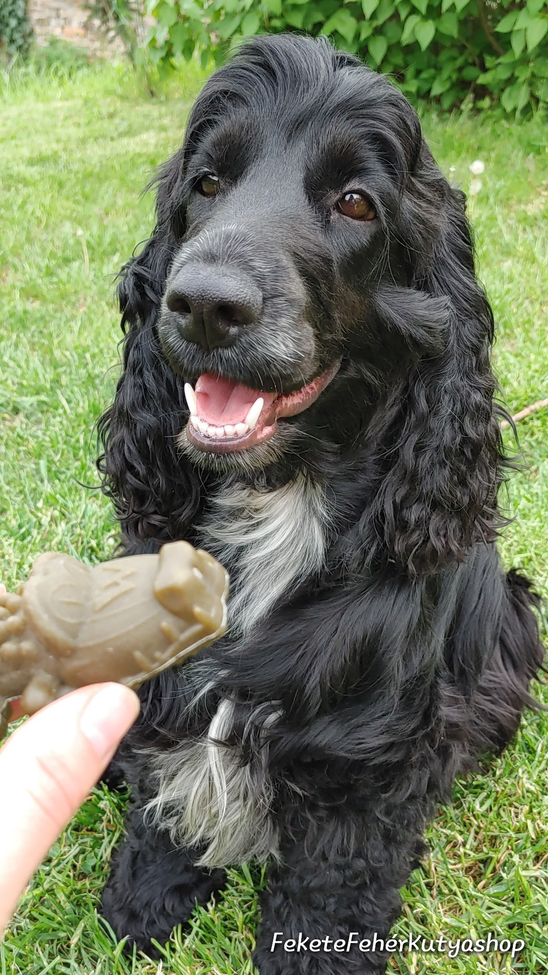 Vegán jutalomfalat: Whimzees aligátor