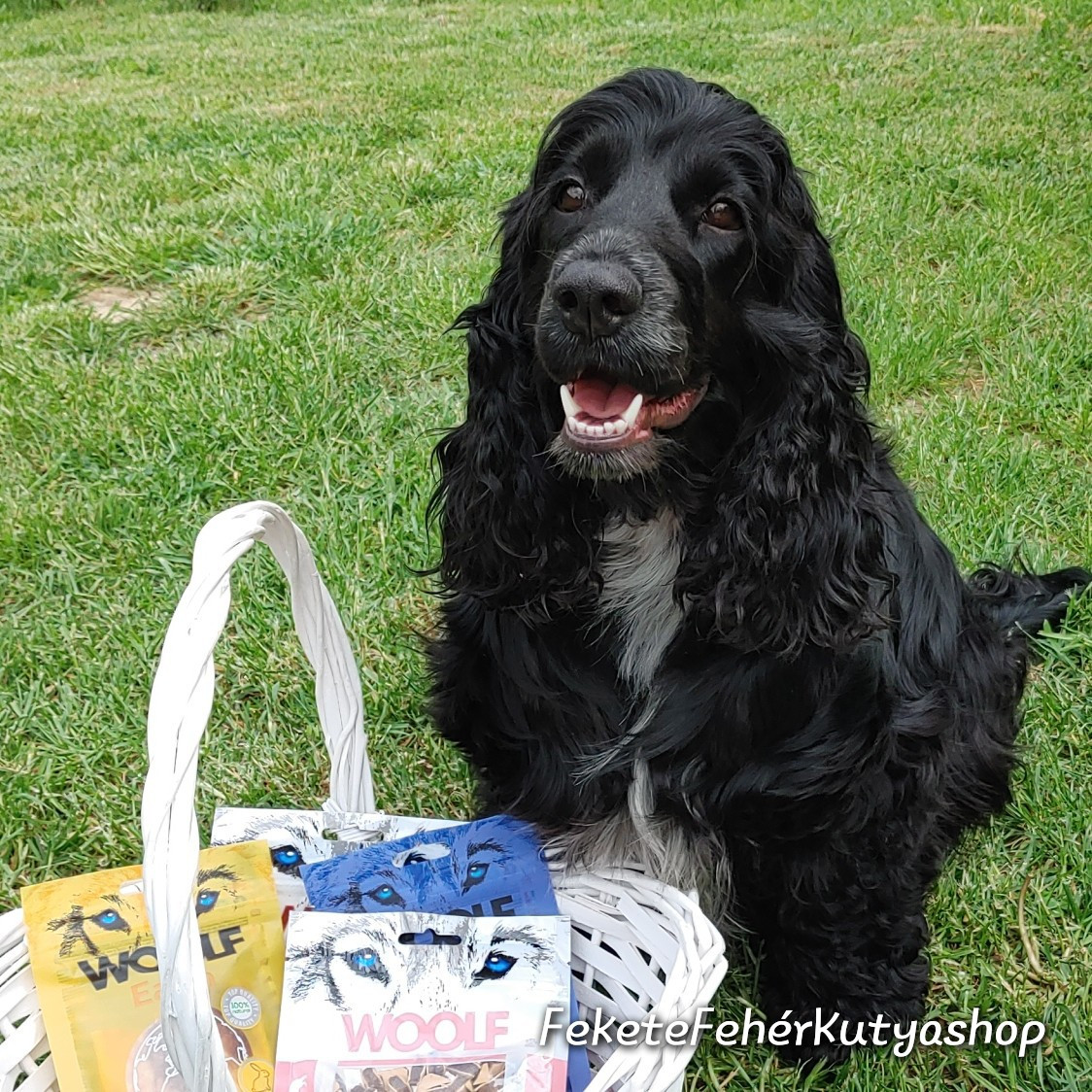 Woolf jutalomfalatok - természetes összetevőkből, tartsító szer nélkül