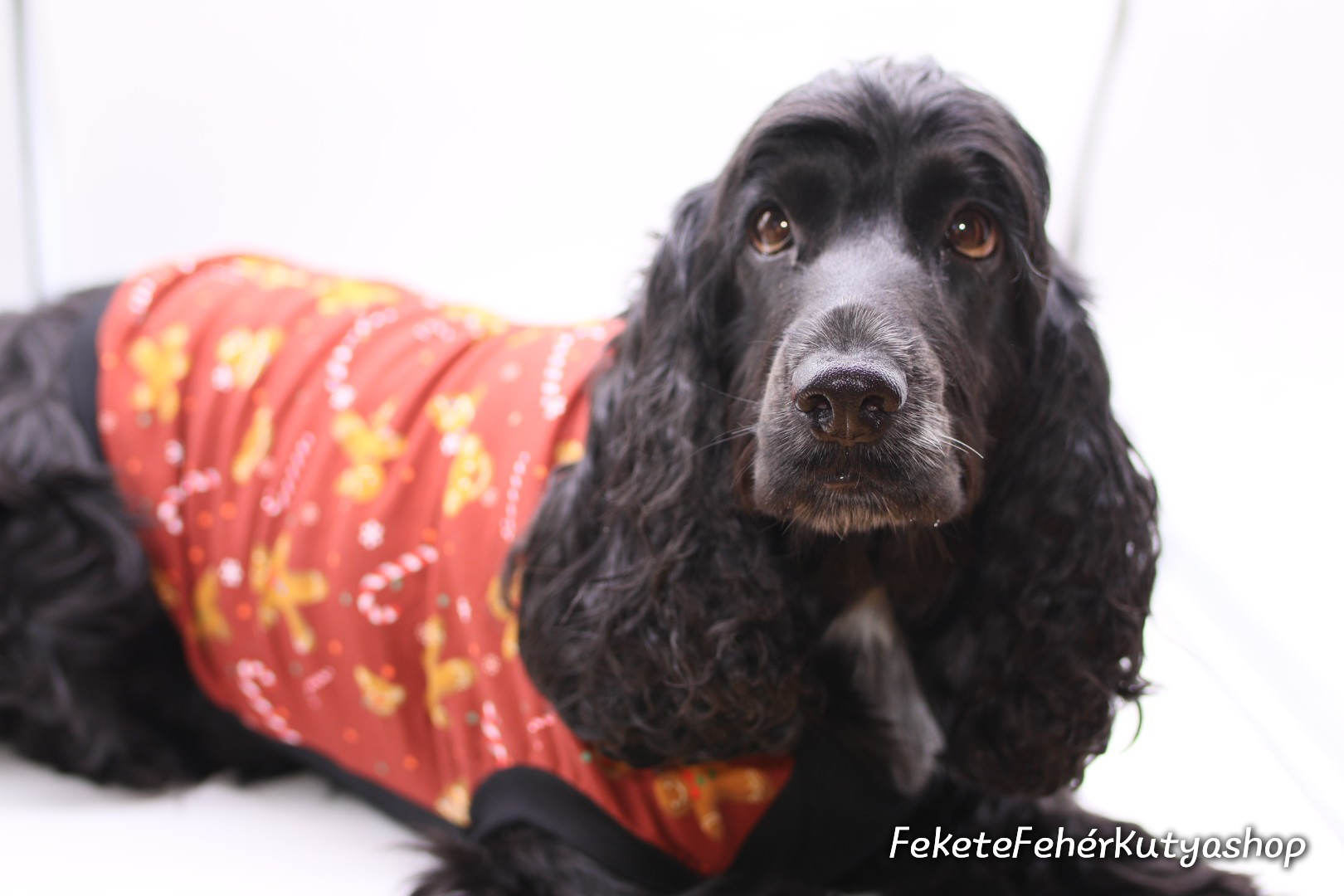 Sötétkék kötött kutyaruha