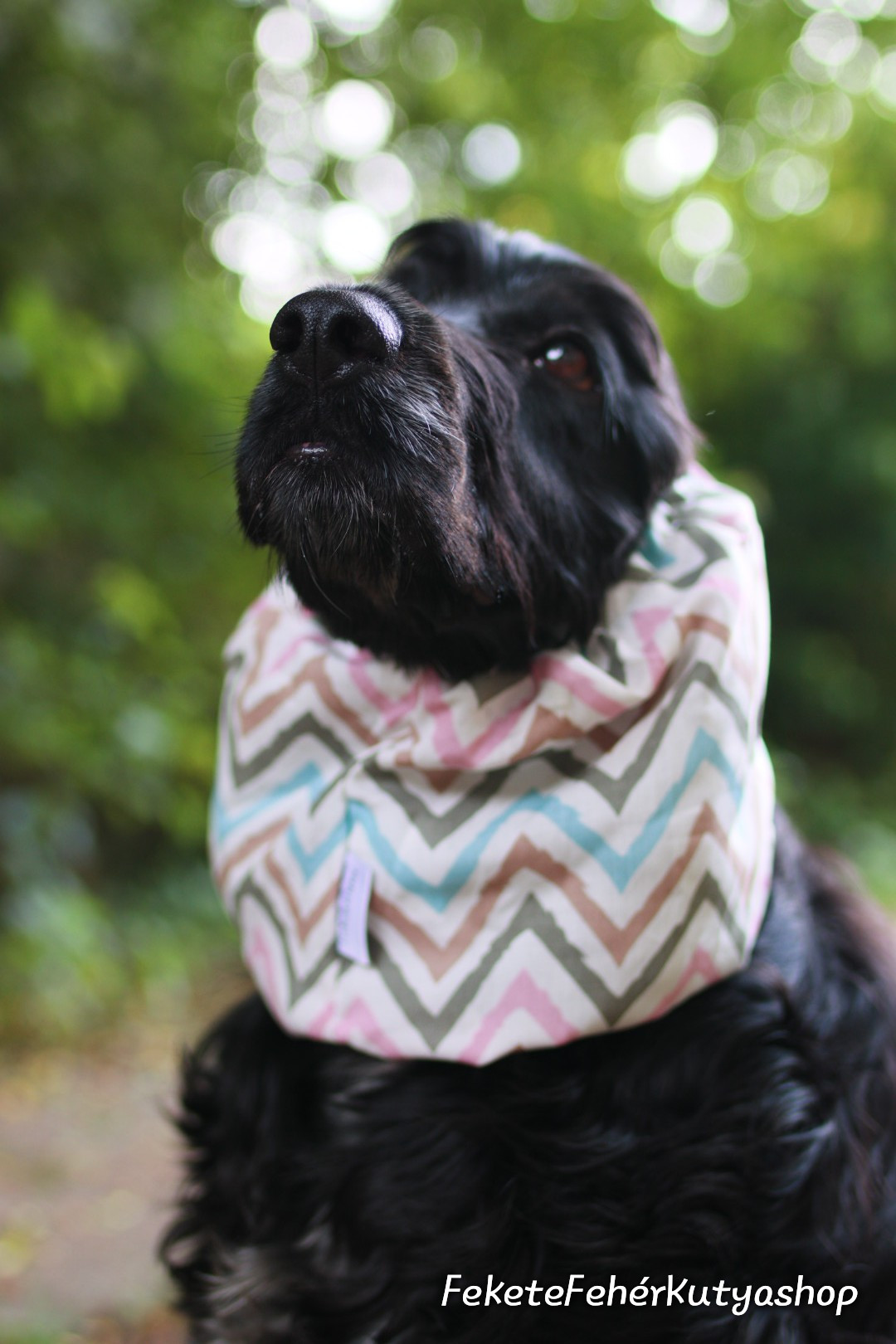 Védd meg kiskedvenced a toklászok fülbejutásától fülvédővel!