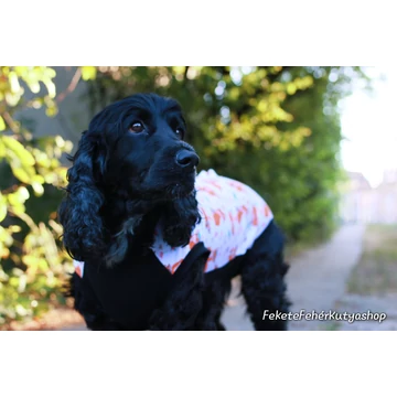 Rókás Műtét Utáni Kutyaruha - Szuka, Lány Kutyáknak, 7-es méret