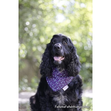 Swiss Polkadots Pöttyös Kutyakendő