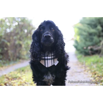 Burberry Kockás Kutyakendő, Bandita Kendő