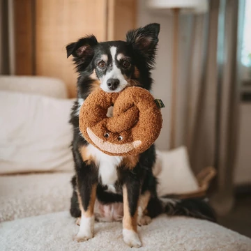Hunter Belem - Pretzel - Plüss Perec Kutyajáték