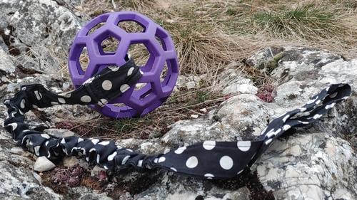 JW holl-ee roller labda elasztikus pánttal, húzócskás kedvenceknek ideális