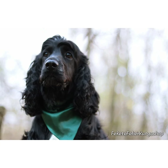 Lucious Silk Selyem Kutyakendő