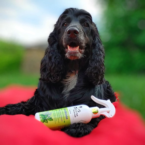 Pro Pet Science ProShield Természetes Citromfű és Levendula szőrpermet szőlőmag és argán olajjal 200 ml 