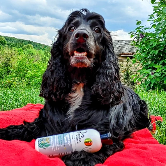 Pro Pet Science CleanFace Természetes Fül-Bőr és Szemkörnyékápoló Tonic zsályával, orbáncfűvel és ezüst kolloiddal 200 ml