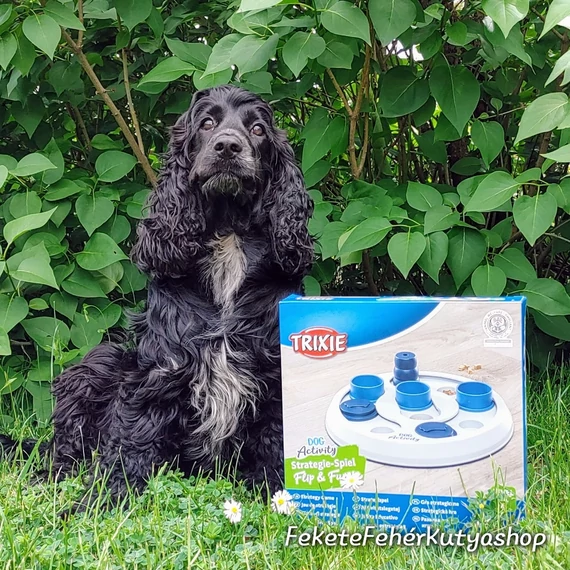 Dog Activity Flip & Fun - Logikai Játék Kutyáknak - Trixie