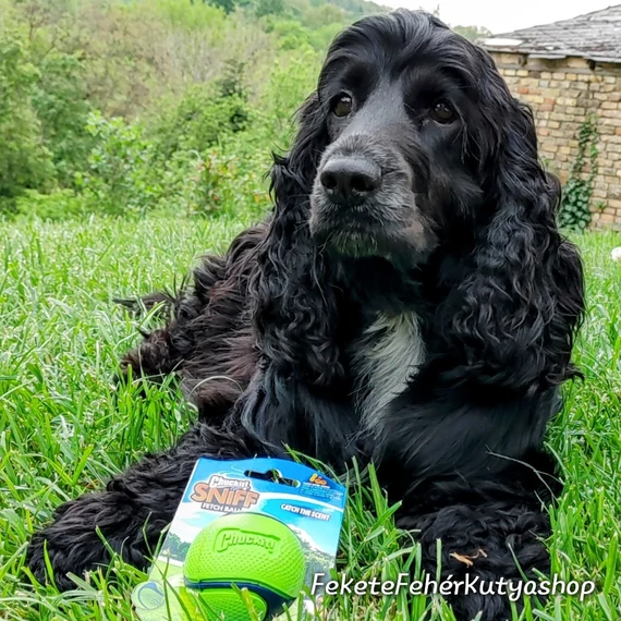 Chuckit! Sniff Illatosított Labda - M-es