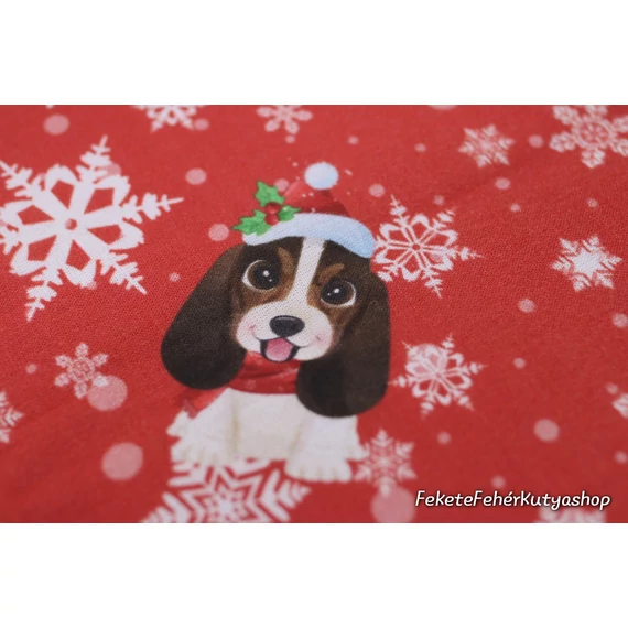 Beagle