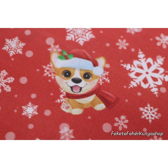 Corgi