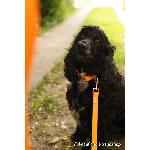 Vízálló, Biothane póráz - Vivid Apricot Delight - Sárgabarack Szín