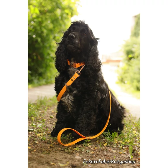 Vízálló, Biothane póráz - Vivid Apricot Delight - Sárgabarack Szín
