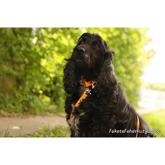 Vízálló, Biothane nyakörv -Vivid Apricot Delight - Sárgabarack Szín