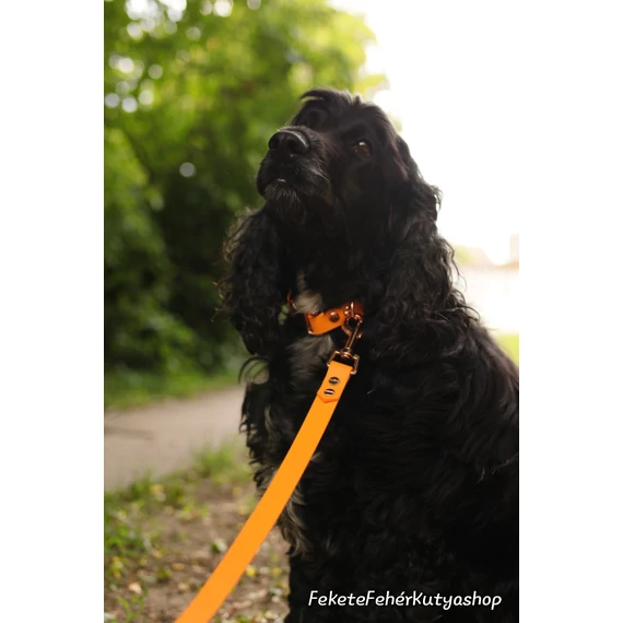 Vízálló, Biothane nyakörv -Vivid Apricot Delight - Sárgabarack Szín