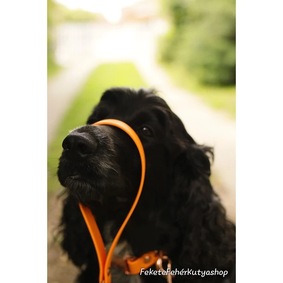 Vízálló, Biothane póráz - Vivid Apricot Delight - Sárgabarack Szín