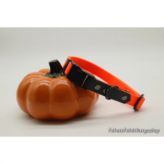 Spooky Jack O'Lantern - fekete kiemelő színnel