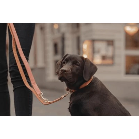 Vegán Bőr Multifunkcionális Póráz - Kentucky Dogwear - Peach-Brown