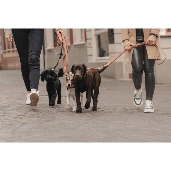 Vegán Bőr Multifunkcionális Póráz - Kentucky Dogwear - Peach-Brown