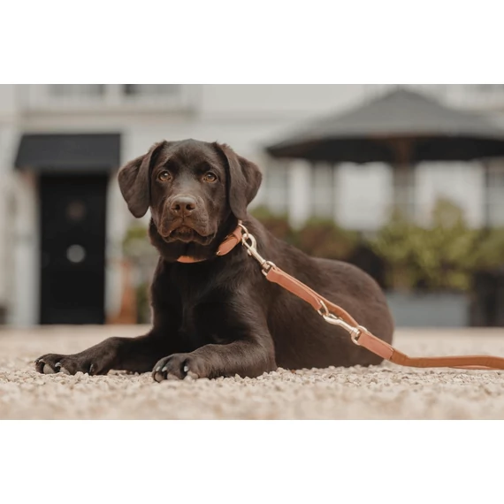 Vegán Bőr Multifunkcionális Póráz - Kentucky Dogwear - Peach-Brown