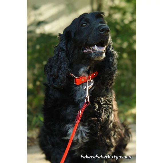 Vízálló, Biothane Nyakörv - Autumn Vibes - Bordó-Narancs