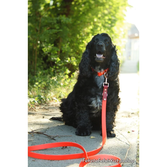 Vízálló, Biothane Nyakörv - Autumn Vibes - Bordó-Narancs