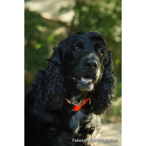 Vízálló, Biothane Nyakörv - Autumn Vibes - Bordó-Narancs