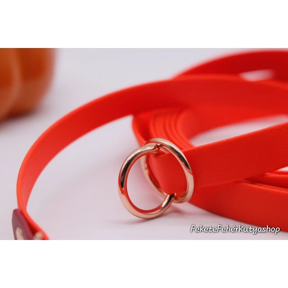 Mozgó rögzítési pont