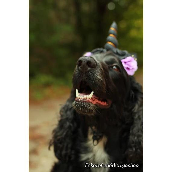 Halloween-i Dark Unicorn Fejpánt Kiskedvenceknek - Croci