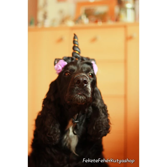Halloween-i Dark Unicorn Fejpánt Kiskedvenceknek - Croci
