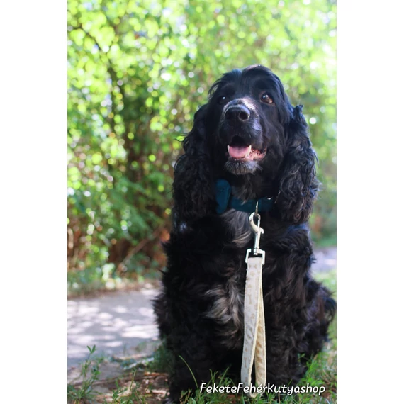 Krém tappancsos-csontos