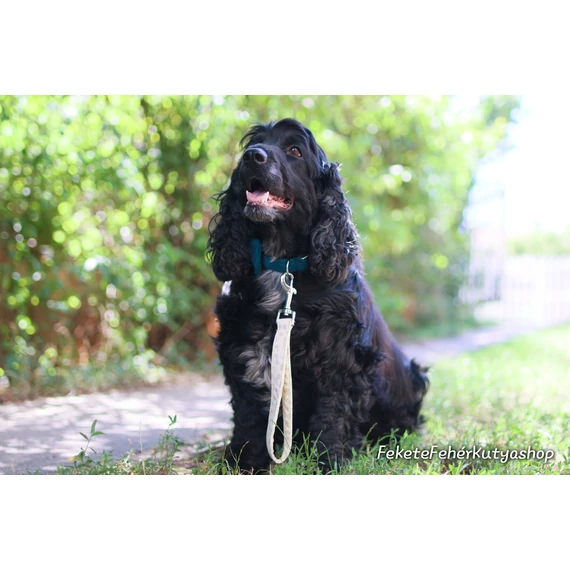 Krém tappancsos-csontos