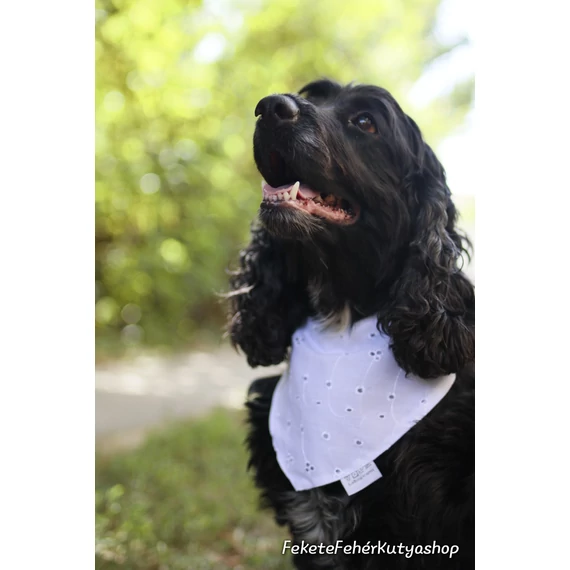 Málna Sorbet színben