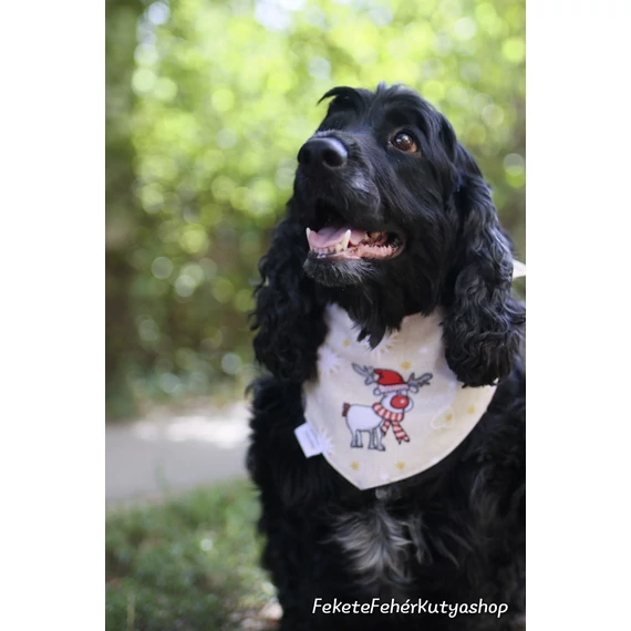 Rudolph the Red Nosed Reindeer - Rénszarvasos Kutyakendő