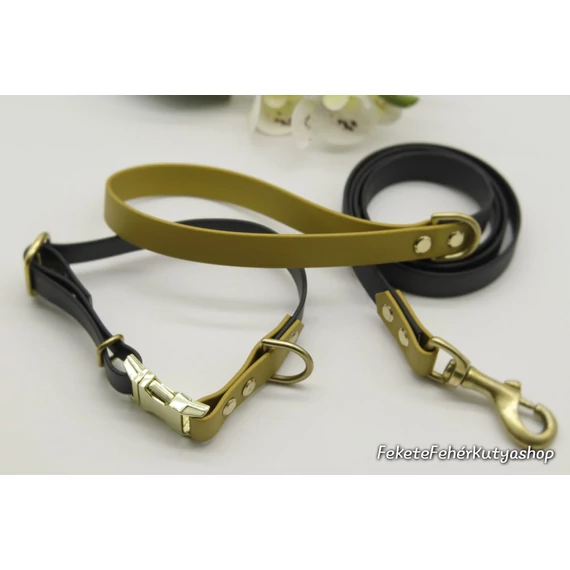 Vízálló, Biothane nyakörv - Goddess - Fekete-Arany Színben