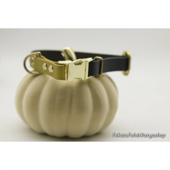 Vízálló, Biothane nyakörv - Goddess - Fekete-Arany Színben