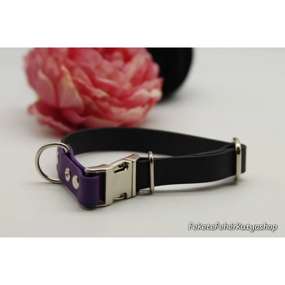 Pop of Color - Biothane, Vízálló Kutyanyakörv - Fekete-Színes