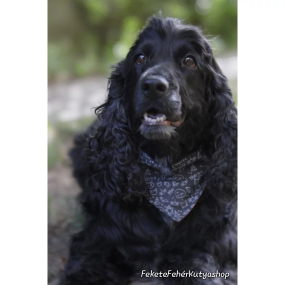 Halloween-i Tricky Double Kétoldalas Kutyakendő - Croci