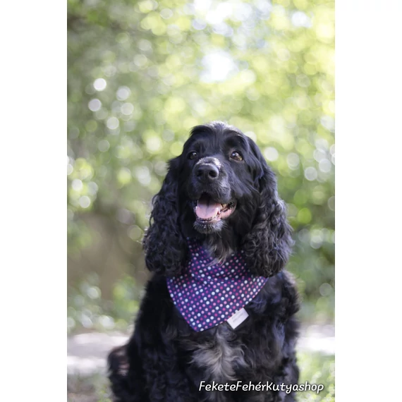 Swiss Polkadots Pöttyös Kutyakendő