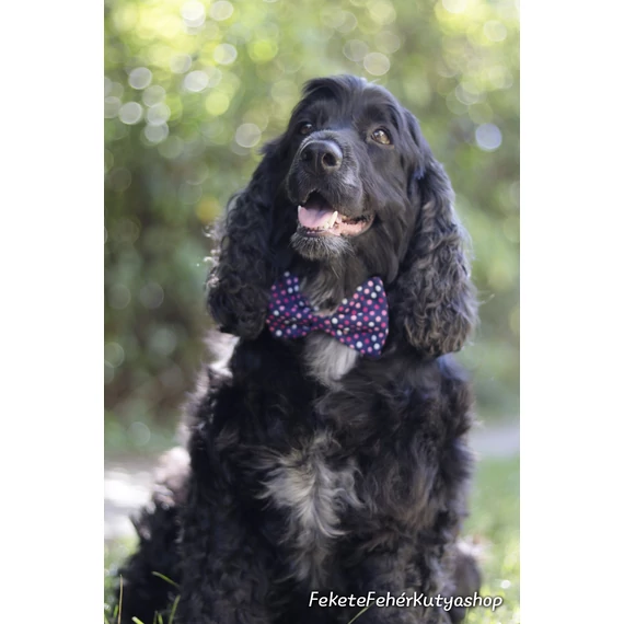 Swiss Polkadots Csokornyakkendő Kutyáknak