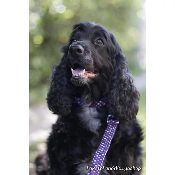 Swiss Polka Dots - Pöttyös Póráz