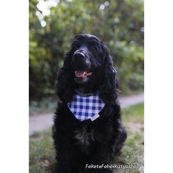 Dorothy's Gingham Kockás Kutyakendő, Bandita Kendő Kutyáknak