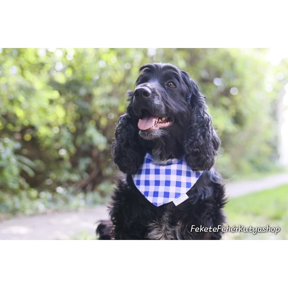 Dorothy's Gingham Kockás Kutyakendő, Bandita Kendő Kutyáknak