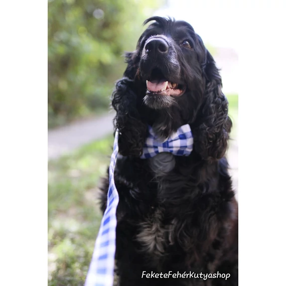 Dorothy's Gingham Kockás Csokornyakkendő Kutyáknak