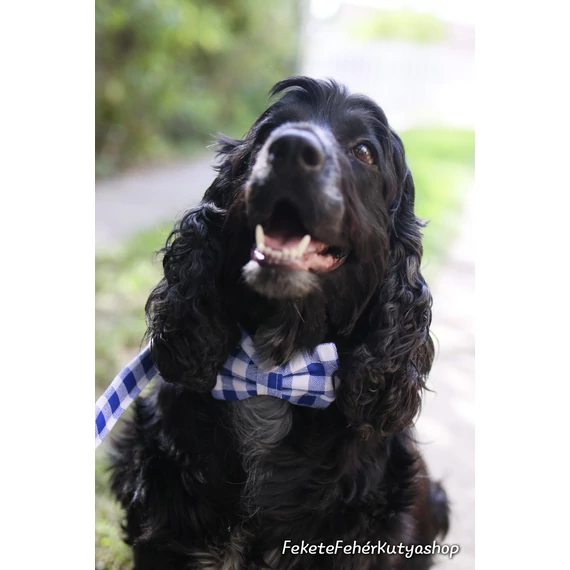 Dorothy's Gingham Kockás Csokornyakkendő Kutyáknak