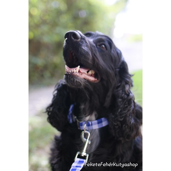 Dorothy's Gingham Kockás Kutya Nyakörv