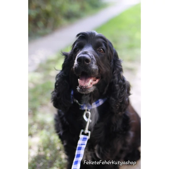 Dorothy's Gingham Kockás Kutya Nyakörv