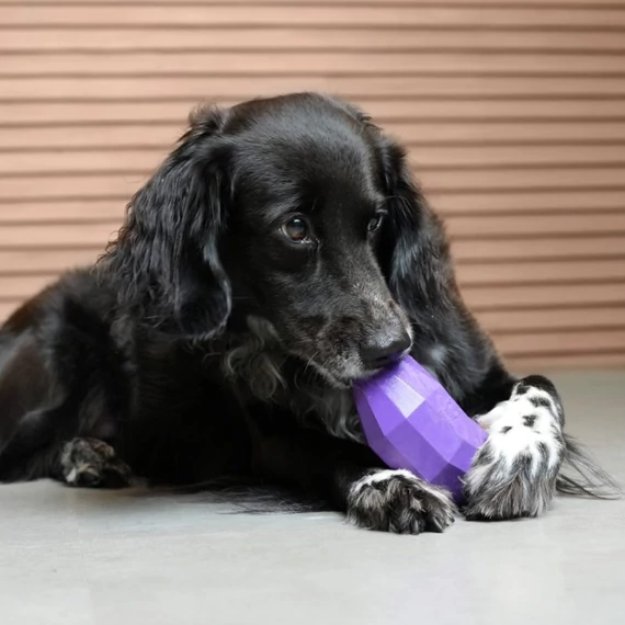 Zee.Dog Super Veggies - Eggplant - Padlizsán Jutalomfalattal Tölthető Kutyajáték